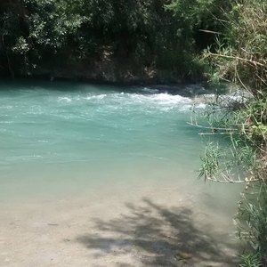 Meet your Posher, Bryan